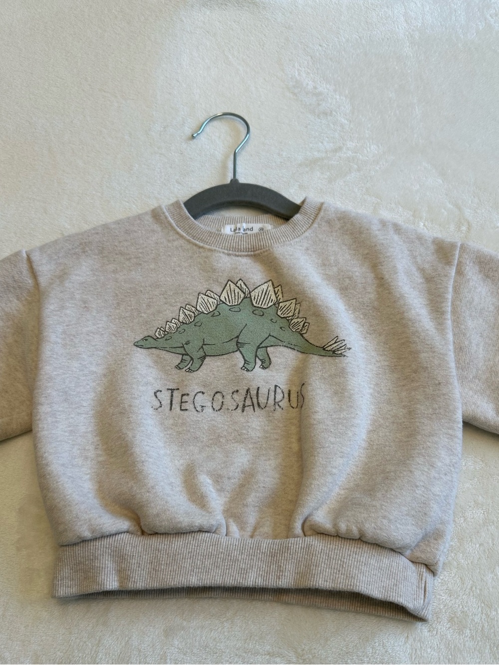 Oversized Kids Stegosaurus Crewneck Sweatshirt, relax fit.
